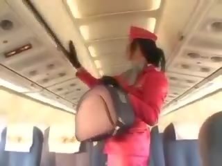 Provocative stewardess sucking phallus before cunnilingus
